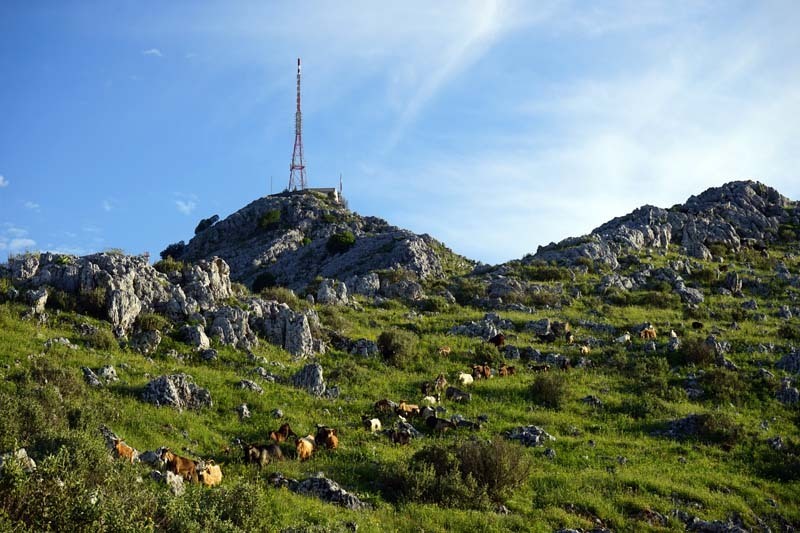 De hoogst berg van het eiland Corfu