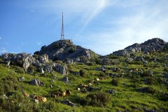 De hoogst berg van het eiland Corfu